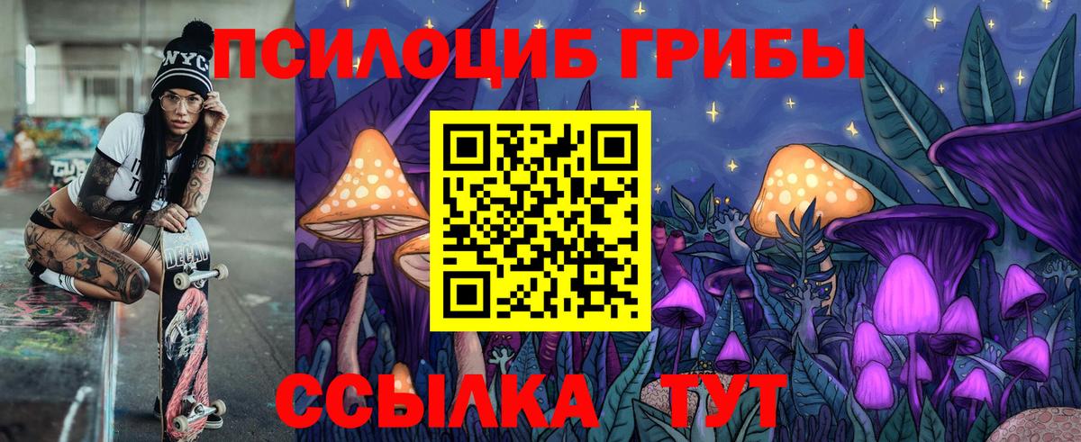 Галлюциногенные грибы прущие грибы  Вход с VPN  Сосновоборск  Галлюциногенные грибы Psilocybine cubensis 