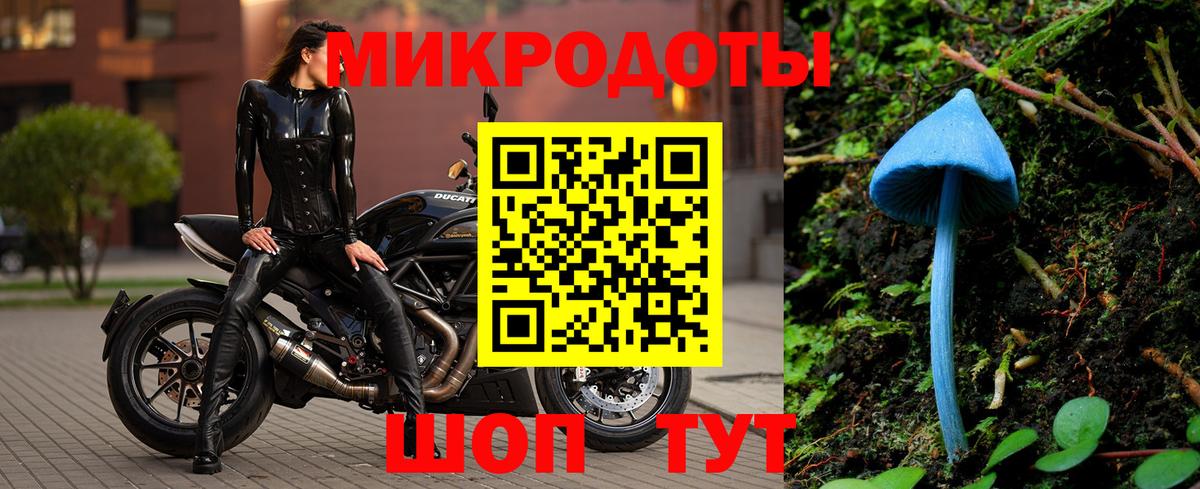 Галлюциногенные грибы Psilocybe Сосновоборск